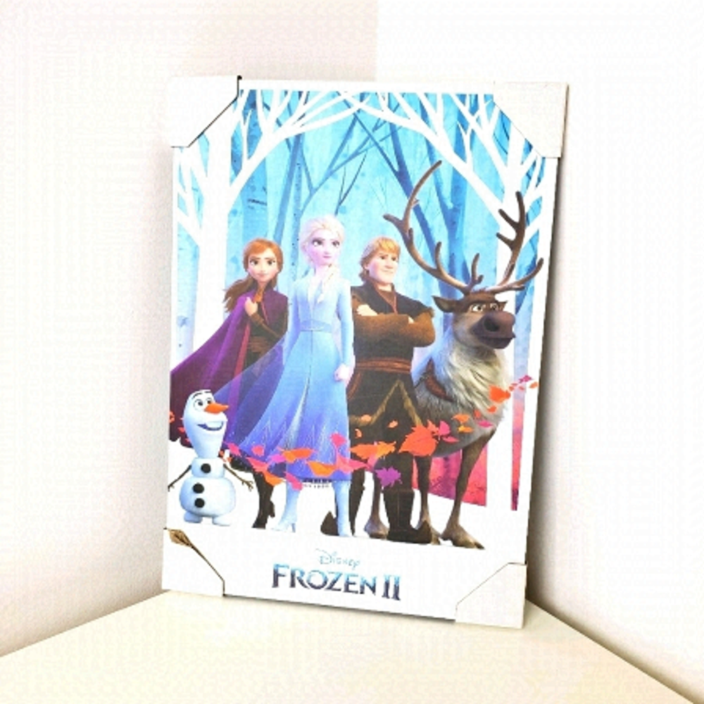 FROZEN 2 wall art mounted on board